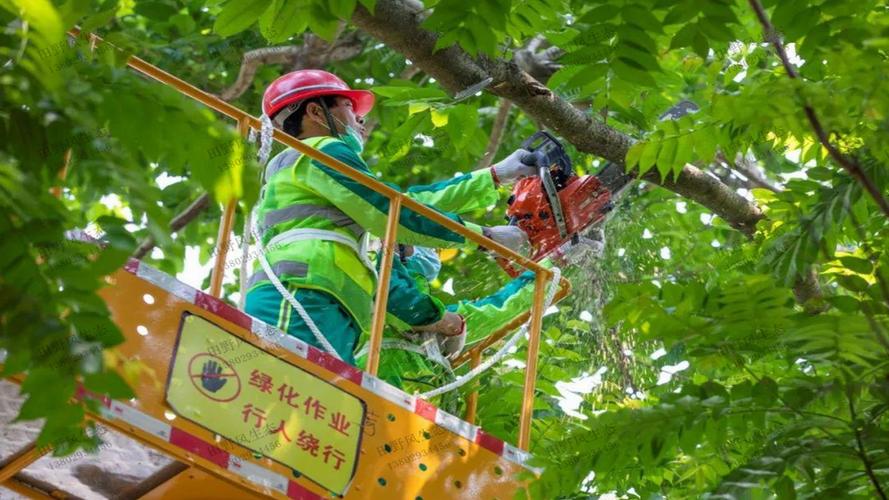 郑州绿化工程联系方式查询