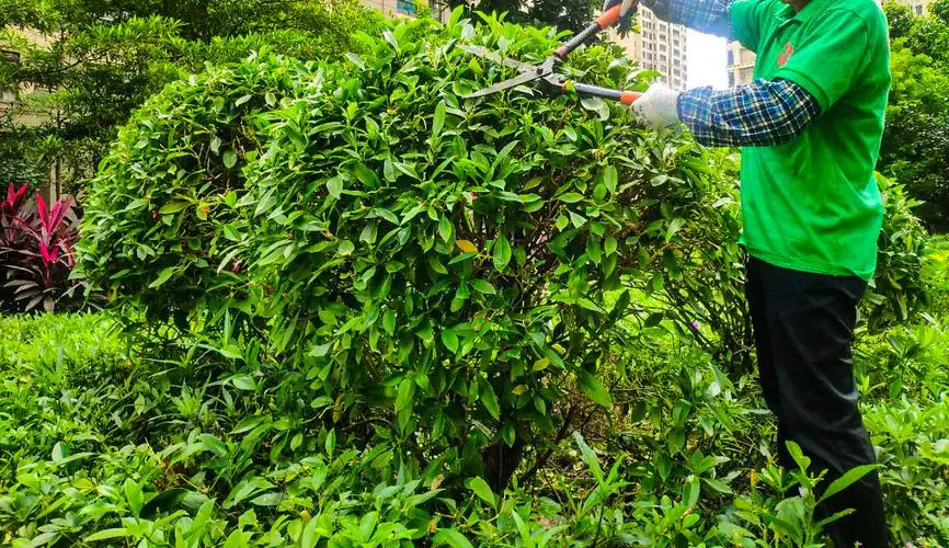 浙江园林绿化工程资质合作加盟